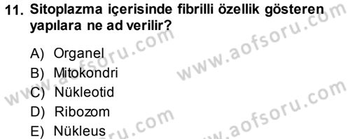 Temel Veteriner Genetik Dersi 2013 - 2014 Yılı (Vize) Ara Sınav Soruları 11. Soru