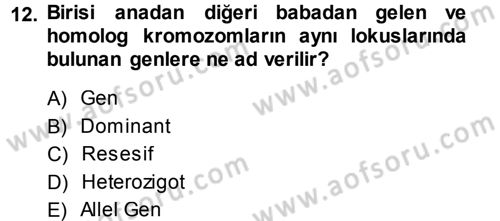 Temel Veteriner Genetik Dersi 2013 - 2014 Yılı (Vize) Ara Sınav Soruları 12. Soru