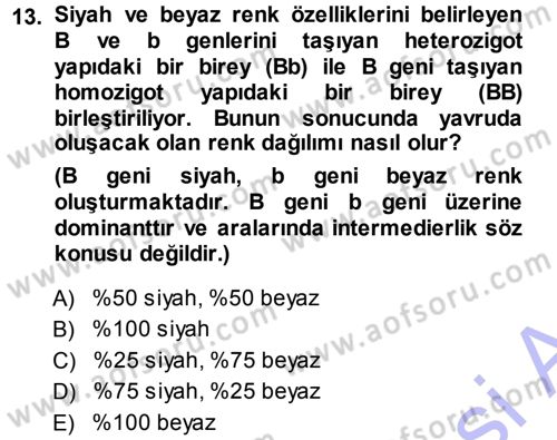 Temel Veteriner Genetik Dersi Ara Sınavı Deneme Sınav Soruları 13. Soru
