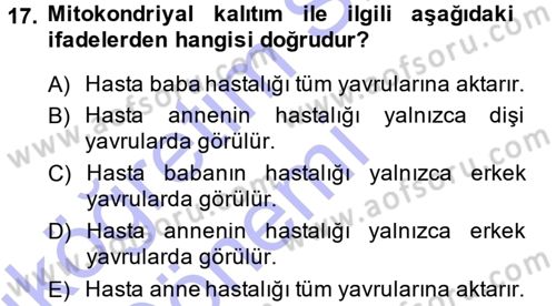 Temel Veteriner Genetik Dersi 2013 - 2014 Yılı (Vize) Ara Sınav Soruları 17. Soru