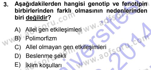 Temel Veteriner Genetik Dersi 2013 - 2014 Yılı (Vize) Ara Sınavı 3. Soru