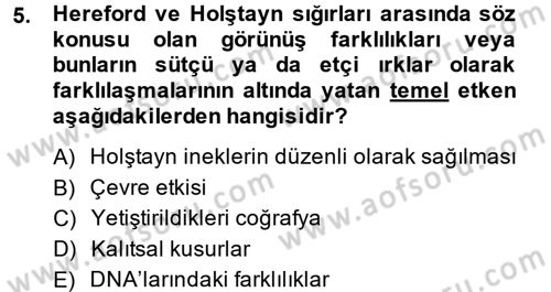 Temel Veteriner Genetik Dersi 2013 - 2014 Yılı (Vize) Ara Sınav Soruları 5. Soru