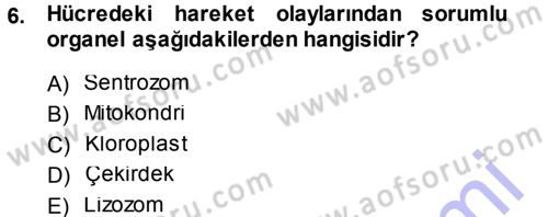 Temel Veteriner Genetik Dersi 2013 - 2014 Yılı (Vize) Ara Sınav Soruları 6. Soru