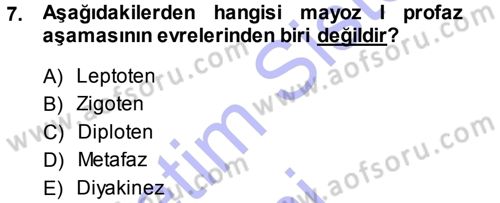 Temel Veteriner Genetik Dersi 2013 - 2014 Yılı (Vize) Ara Sınav Soruları 7. Soru