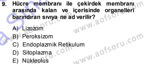 Temel Veteriner Genetik Dersi Ara Sınavı Deneme Sınav Soruları 9. Soru