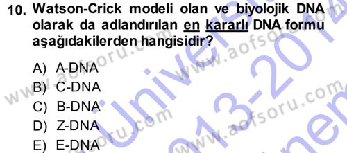 Temel Veteriner Genetik Dersi 2013 - 2014 Yılı (Final) Dönem Sonu Sınav Soruları 10. Soru
