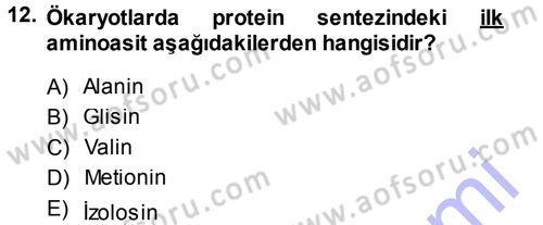 Temel Veteriner Genetik Dersi 2013 - 2014 Yılı (Final) Dönem Sonu Sınav Soruları 12. Soru