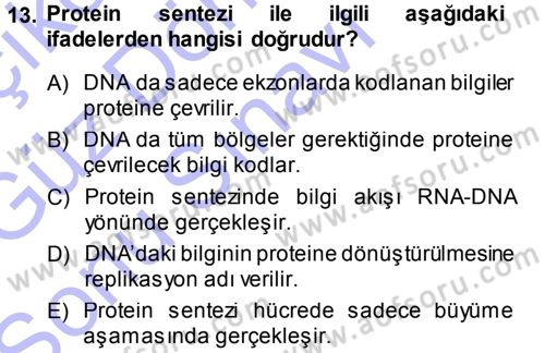 Temel Veteriner Genetik Dersi 2013 - 2014 Yılı (Final) Dönem Sonu Sınav Soruları 13. Soru
