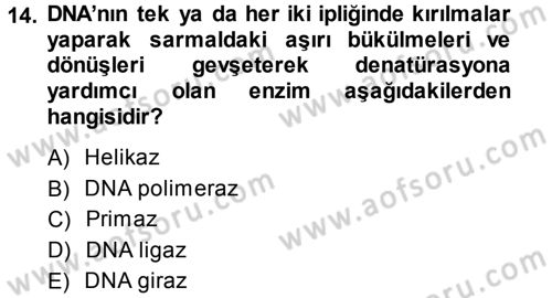 Temel Veteriner Genetik Dersi 2013 - 2014 Yılı (Final) Dönem Sonu Sınav Soruları 14. Soru