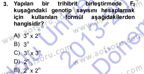 Temel Veteriner Genetik Dersi 2013 - 2014 Yılı (Final) Dönem Sonu Sınavı 3. Soru