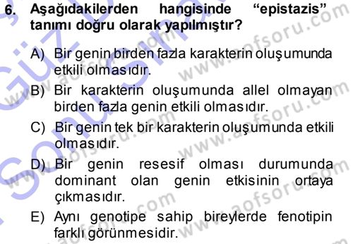 Temel Veteriner Genetik Dersi 2013 - 2014 Yılı (Final) Dönem Sonu Sınav Soruları 6. Soru