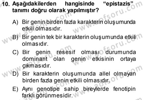Temel Veteriner Genetik Dersi 2013 - 2014 Yılı Tek Ders Sınav Soruları 10. Soru