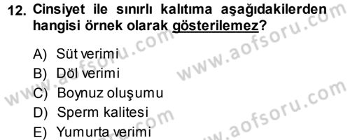 Temel Veteriner Genetik Dersi 2013 - 2014 Yılı Tek Ders Sınav Soruları 12. Soru