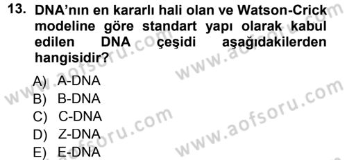 Temel Veteriner Genetik Dersi 2013 - 2014 Yılı Tek Ders Sınav Soruları 13. Soru