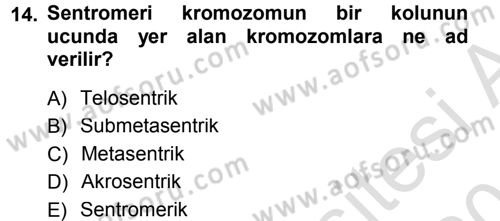 Temel Veteriner Genetik Dersi 2013 - 2014 Yılı Tek Ders Sınav Soruları 14. Soru
