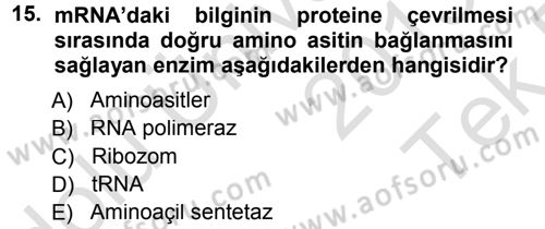 Temel Veteriner Genetik Dersi 2013 - 2014 Yılı Tek Ders Sınav Soruları 15. Soru