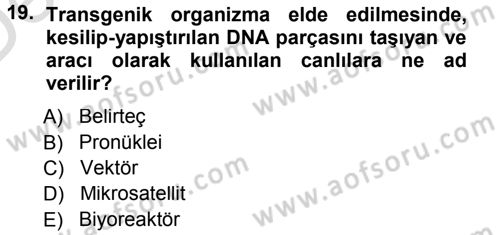Temel Veteriner Genetik Dersi 2013 - 2014 Yılı Tek Ders Sınav Soruları 19. Soru