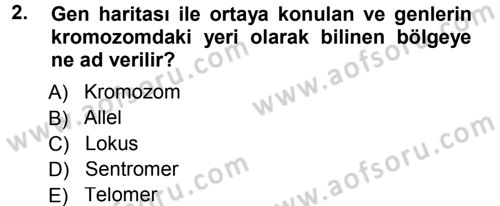 Temel Veteriner Genetik Dersi 2013 - 2014 Yılı Tek Ders Sınav Soruları 2. Soru