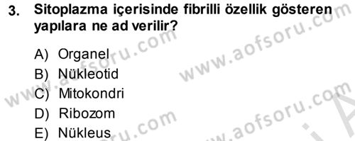 Temel Veteriner Genetik Dersi 2013 - 2014 Yılı Tek Ders Sınav Soruları 3. Soru