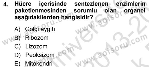 Temel Veteriner Genetik Dersi 2013 - 2014 Yılı Tek Ders Sınav Soruları 4. Soru