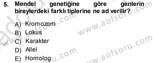 Temel Veteriner Genetik Dersi 2013 - 2014 Yılı Tek Ders Sınav Soruları 5. Soru