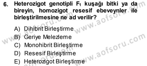 Temel Veteriner Genetik Dersi 2013 - 2014 Yılı Tek Ders Sınav Soruları 6. Soru