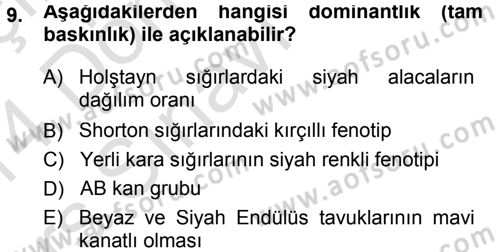 Temel Veteriner Genetik Dersi 2013 - 2014 Yılı Tek Ders Sınav Soruları 9. Soru