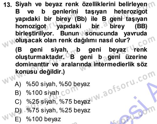 Temel Veteriner Genetik Dersi Ara Sınavı Deneme Sınav Soruları 13. Soru