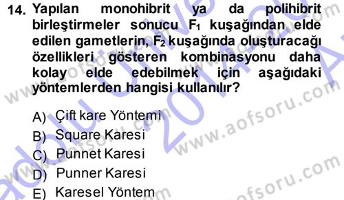 Temel Veteriner Genetik Dersi Ara Sınavı Deneme Sınav Soruları 14. Soru
