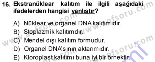 Temel Veteriner Genetik Dersi Ara Sınavı Deneme Sınav Soruları 16. Soru