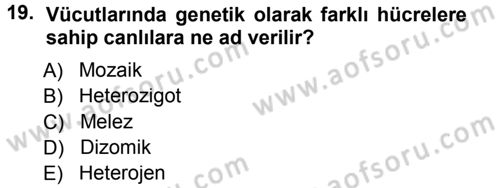 Temel Veteriner Genetik Dersi Ara Sınavı Deneme Sınav Soruları 19. Soru