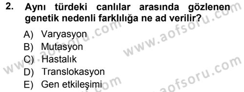 Temel Veteriner Genetik Dersi Ara Sınavı Deneme Sınav Soruları 2. Soru