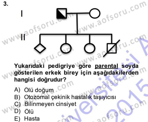 Temel Veteriner Genetik Dersi Ara Sınavı Deneme Sınav Soruları 3. Soru