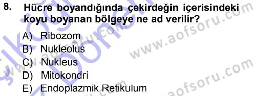 Temel Veteriner Genetik Dersi 2014 - 2015 Yılı (Vize) Ara Sınav Soruları 8. Soru