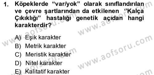 Temel Veteriner Genetik Dersi 2014 - 2015 Yılı (Final) Dönem Sonu Sınav Soruları 1. Soru