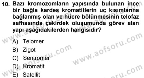 Temel Veteriner Genetik Dersi 2014 - 2015 Yılı (Final) Dönem Sonu Sınav Soruları 10. Soru