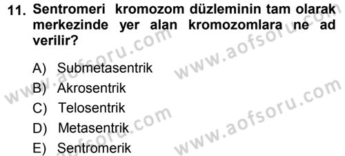 Temel Veteriner Genetik Dersi 2014 - 2015 Yılı (Final) Dönem Sonu Sınav Soruları 11. Soru