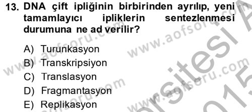 Temel Veteriner Genetik Dersi 2014 - 2015 Yılı (Final) Dönem Sonu Sınav Soruları 13. Soru