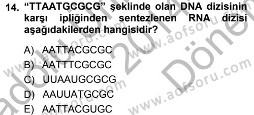 Temel Veteriner Genetik Dersi 2014 - 2015 Yılı (Final) Dönem Sonu Sınav Soruları 14. Soru
