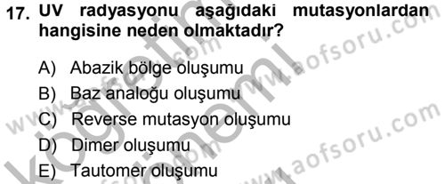 Temel Veteriner Genetik Dersi 2014 - 2015 Yılı (Final) Dönem Sonu Sınav Soruları 17. Soru