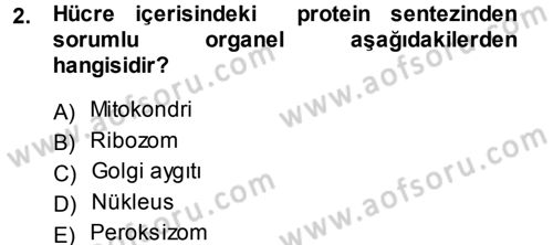 Temel Veteriner Genetik Dersi 2014 - 2015 Yılı (Final) Dönem Sonu Sınav Soruları 2. Soru
