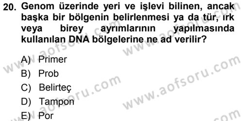 Temel Veteriner Genetik Dersi 2014 - 2015 Yılı (Final) Dönem Sonu Sınav Soruları 20. Soru