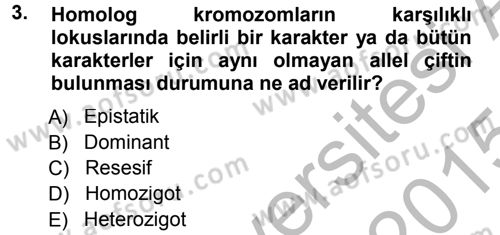 Temel Veteriner Genetik Dersi 2014 - 2015 Yılı (Final) Dönem Sonu Sınav Soruları 3. Soru