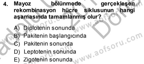 Temel Veteriner Genetik Dersi 2014 - 2015 Yılı (Final) Dönem Sonu Sınav Soruları 4. Soru