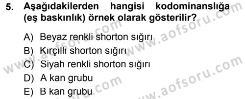 Temel Veteriner Genetik Dersi 2014 - 2015 Yılı (Final) Dönem Sonu Sınav Soruları 5. Soru