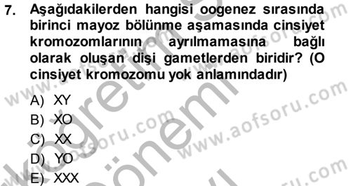 Temel Veteriner Genetik Dersi 2014 - 2015 Yılı (Final) Dönem Sonu Sınav Soruları 7. Soru