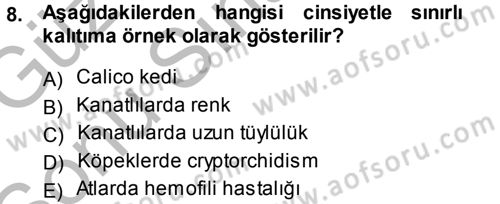 Temel Veteriner Genetik Dersi 2014 - 2015 Yılı (Final) Dönem Sonu Sınav Soruları 8. Soru