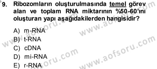Temel Veteriner Genetik Dersi 2014 - 2015 Yılı (Final) Dönem Sonu Sınav Soruları 9. Soru