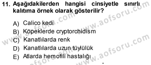 Temel Veteriner Genetik Dersi 2014 - 2015 Yılı Tek Ders Sınav Soruları 11. Soru
