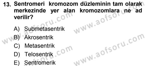 Temel Veteriner Genetik Dersi 2014 - 2015 Yılı Tek Ders Sınav Soruları 13. Soru